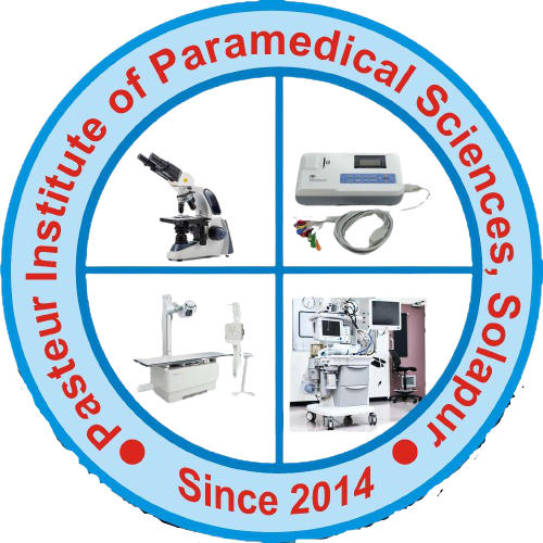 logo PIPS Logo